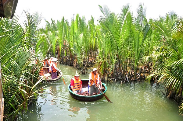 Chèo thúng khám phá rừng dừa Cẩm Thanh